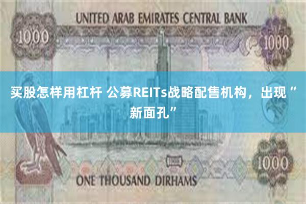 买股怎样用杠杆 公募REITs战略配售机构，出现“新面孔”