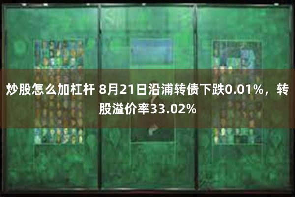 炒股怎么加杠杆 8月21日沿浦转债下跌0.01%，转股溢价率33.02%