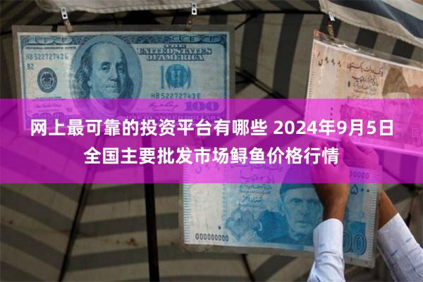 网上最可靠的投资平台有哪些 2024年9月5日全国主要批发市场鲟鱼价格行情