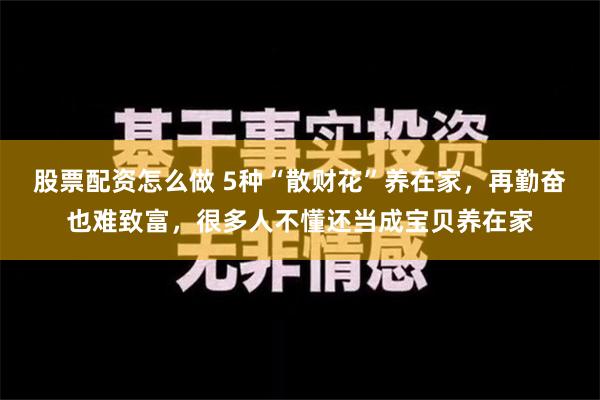 股票配资怎么做 5种“散财花”养在家，再勤奋也难致富，很多人不懂还当成宝贝养在家