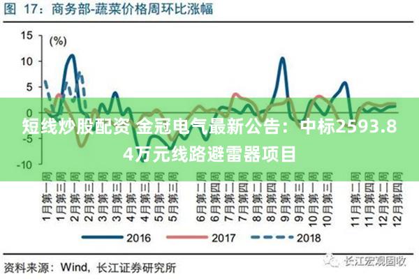 短线炒股配资 金冠电气最新公告：中标2593.84万元线路避雷器项目