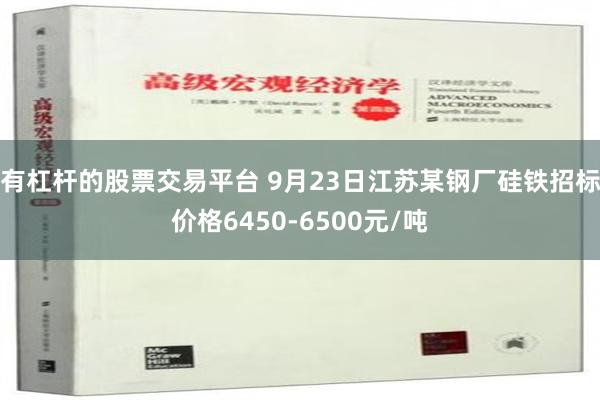 有杠杆的股票交易平台 9月23日江苏某钢厂硅铁招标价格6450-6500元/吨