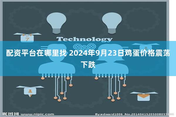 配资平台在哪里找 2024年9月23日鸡蛋价格震荡下跌