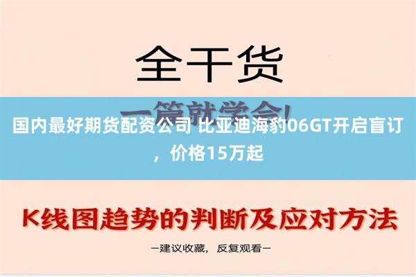 国内最好期货配资公司 比亚迪海豹06GT开启盲订，价格15万起