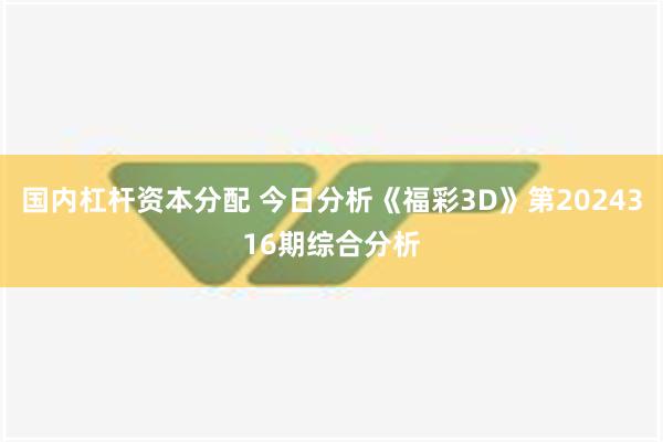 国内杠杆资本分配 今日分析《福彩3D》第2024316期综合分析