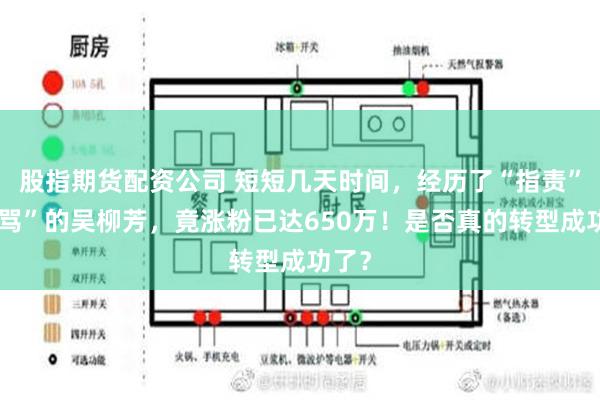 股指期货配资公司 短短几天时间，经历了“指责”“谩骂”的吴柳芳，竟涨粉已达650万！是否真的转型成功了？