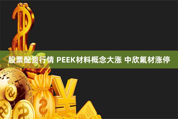 股票配资行情 PEEK材料概念大涨 中欣氟材涨停