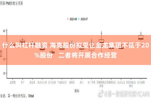 什么叫杠杆融资 海亮股份拟受让金龙集团不低于20%股份   二者将开展合作经营