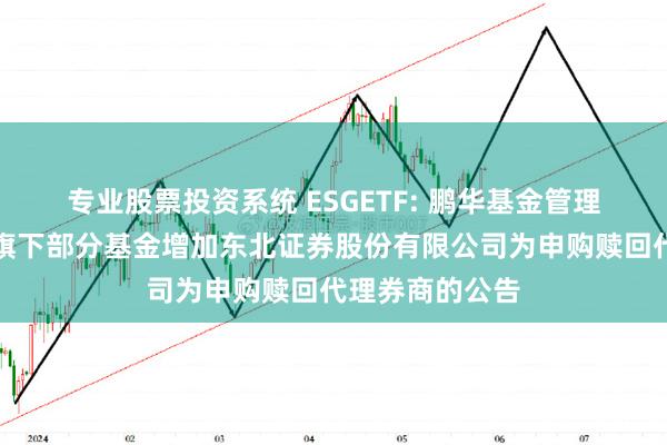 专业股票投资系统 ESGETF: 鹏华基金管理有限公司关于旗下部分基金增加东北证券股份有限公司为申购赎回代理券商的公告